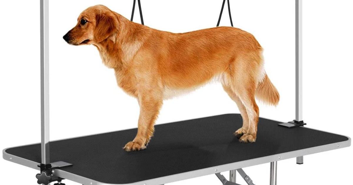 Best Portable Dog Grooming Tables of 2024 Pet Grooming Advisor