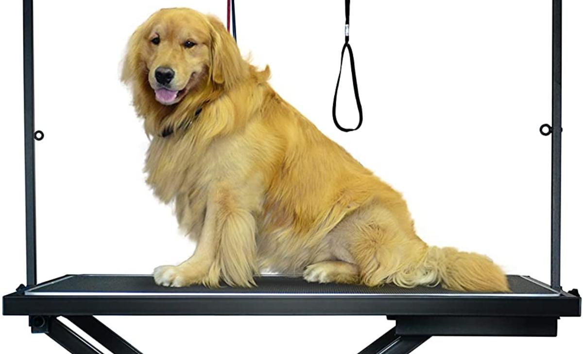 Best Professional Dog Grooming Tables of 2023 Pet Grooming Advisor
