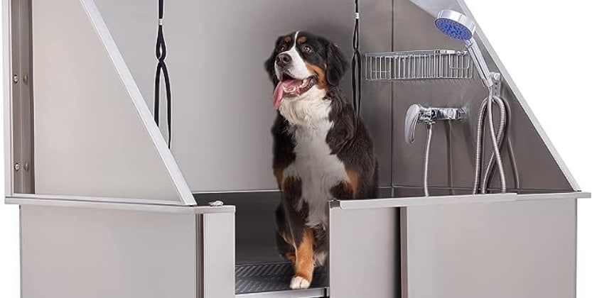 Choosing the Perfect Professional Dog Grooming Bathtub: A Groomer's ...